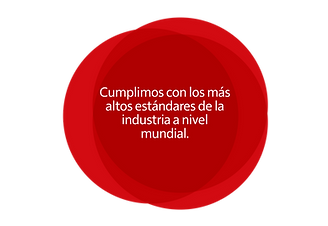 calidad_Mesa de trabajo 1.png