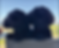 Shih-Tzu-6.png