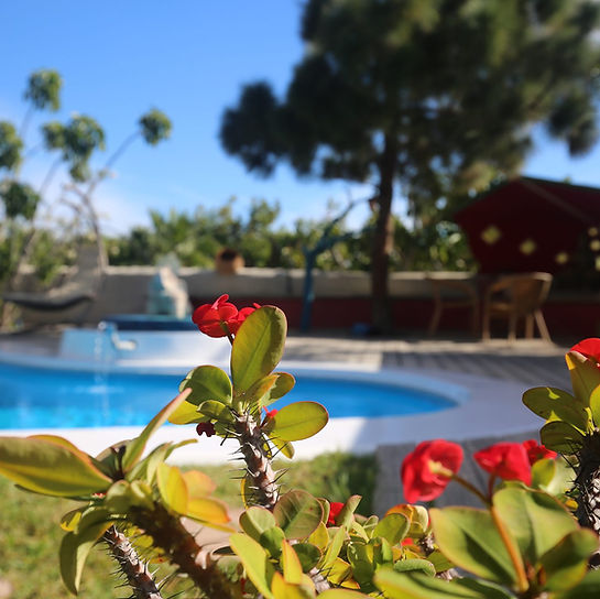 Private Ferienwohnung Teneriffa Süd