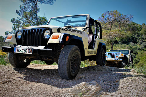 originaler wrangler jeep