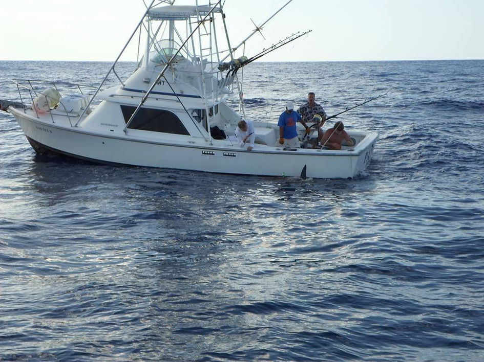 Azores fishing charter