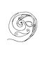 Logo heilpraktiker Lily Brandenburg an der havel