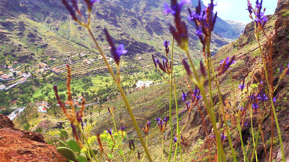 La Gomera Unterkunft Geheimtipps