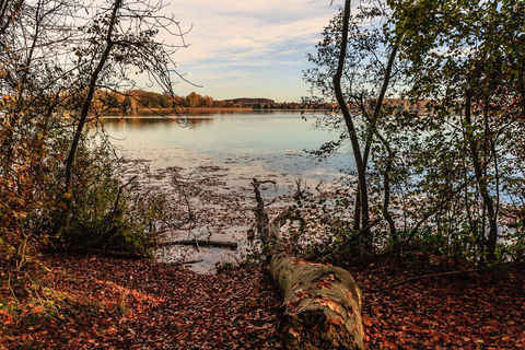 natur in luttenwang