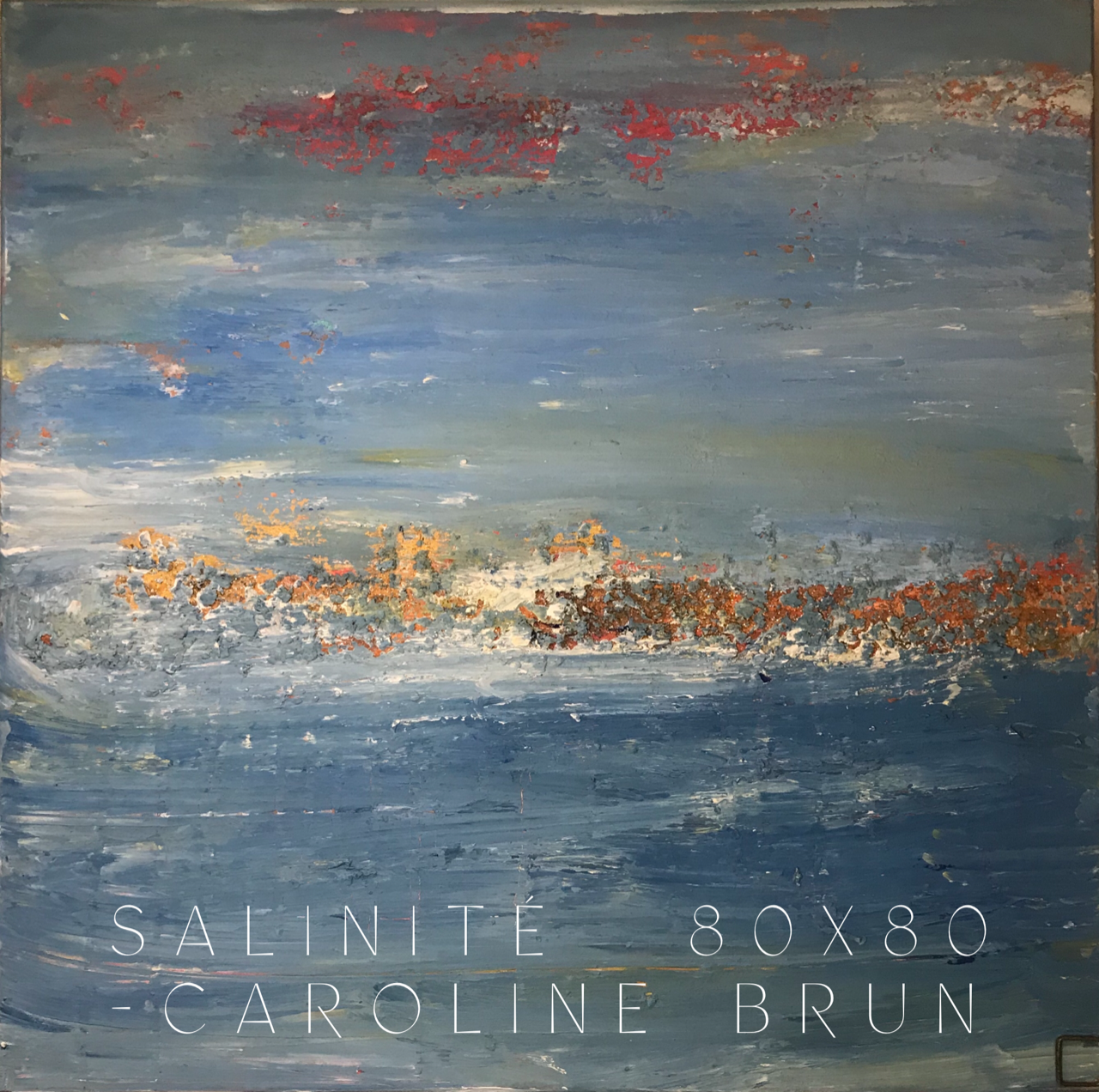 Salinité 80X80