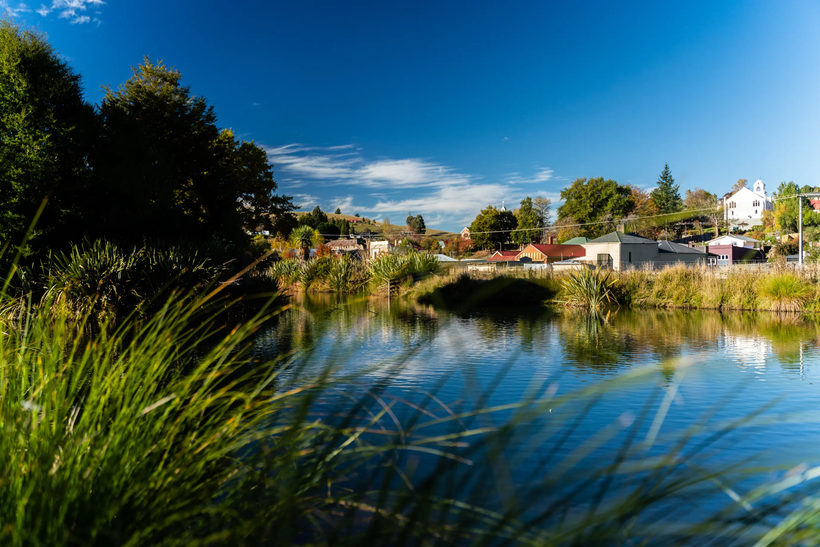 Bellview Wetlands