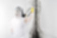 professional-disinfector-overalls-processes-walls-from-mold-removal-black-fungus-apartment