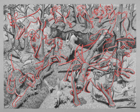 Location of 13 hounds