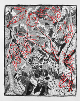 Location of 8 hidden hares