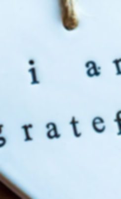 Gratitude bernedoodle