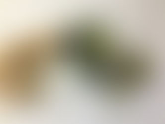 Energizing Green Smoothie