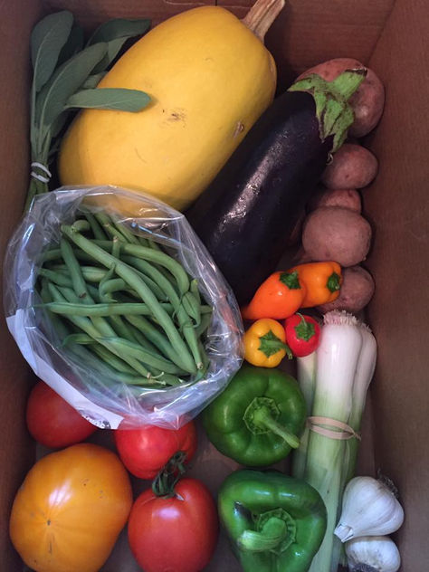 Why Food Alone Isn’t Enough for Optimal Nutrition — For Children and Adults