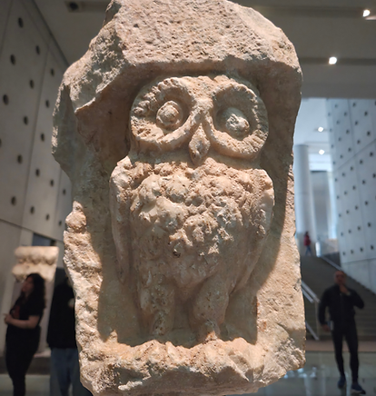 acropolis museum athens owl
