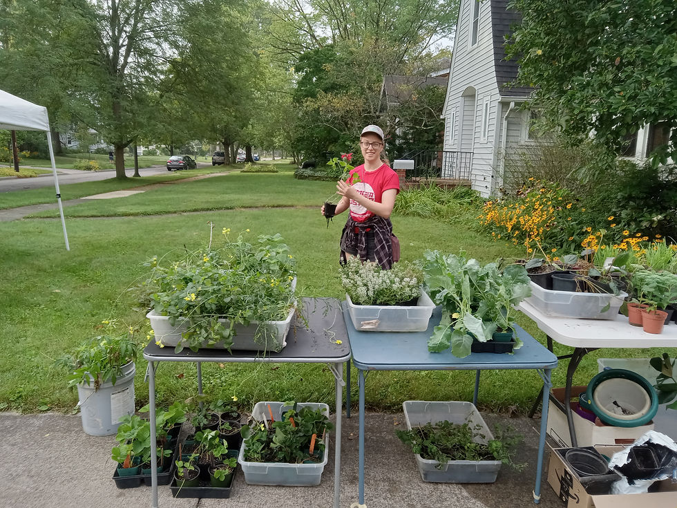 Garage Sale Update