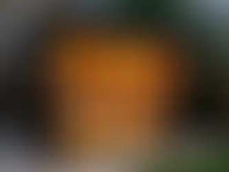 Can I Put a Sauna in My Garden Shed? The Honest Answer for UK Homeowners