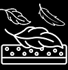feather-option (1).png
