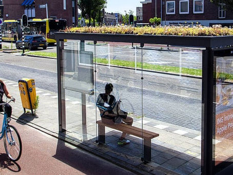 Dutch Ingenuity Leads the Way Saving Pollinators in Urban Environments