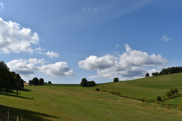DSC_0077.JPG