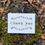 Thumbnail: Dove Thank You Card Set