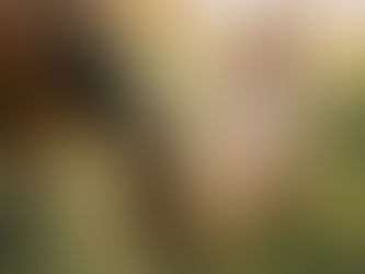 Spełnione marzenie Justysi - sesja w stadninie koni | Stajnia Pęczerzyno