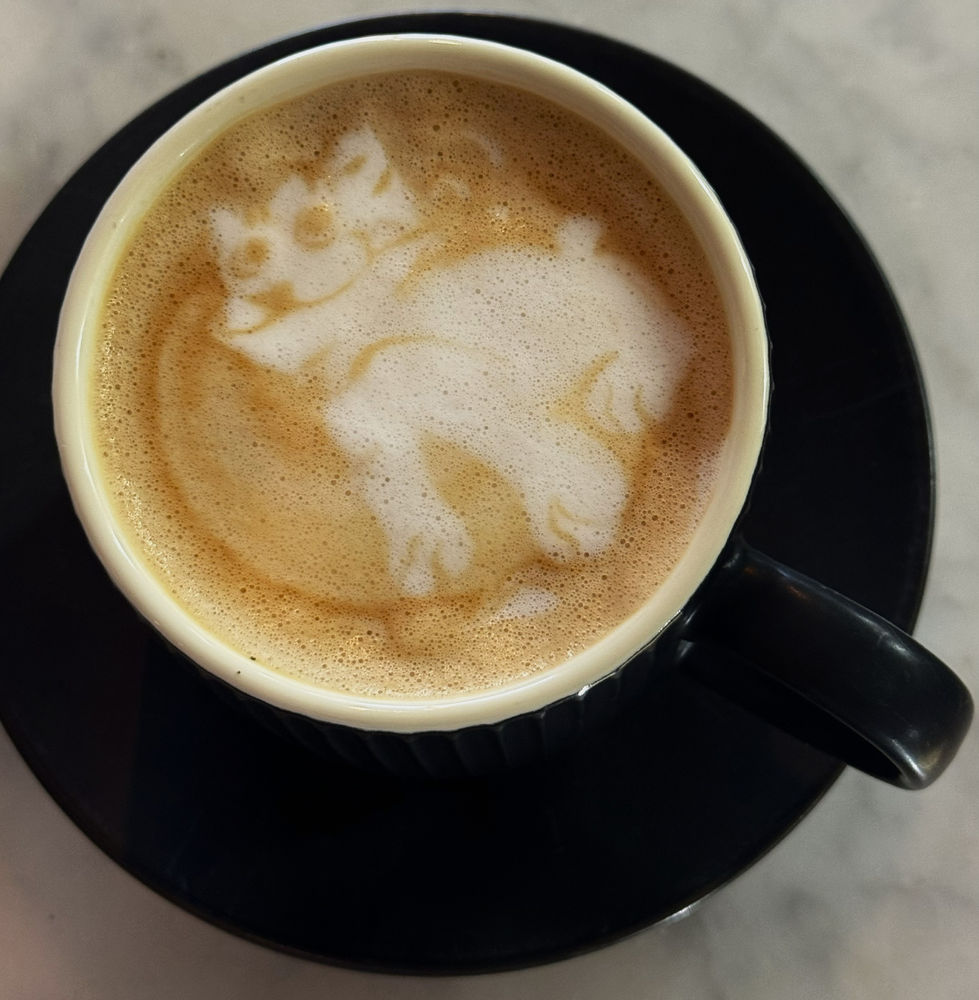 Artlatte7
