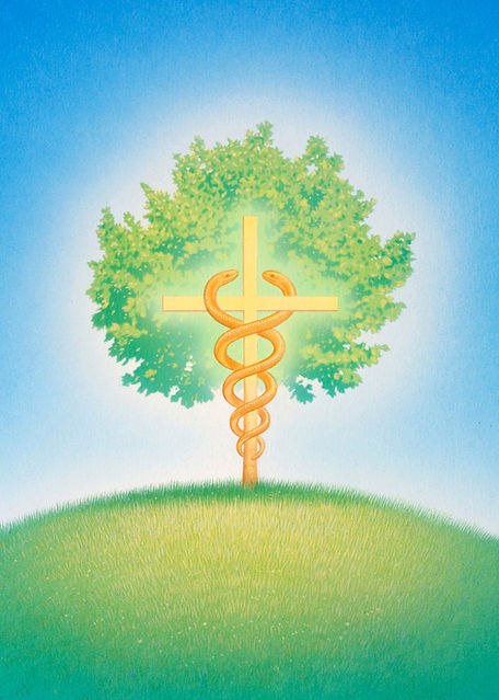 Vom Lebensbaum zum Kreuz