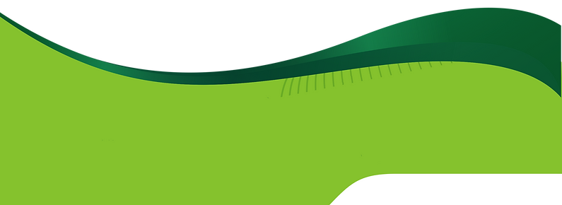 SF(1) copy(1)(1).png