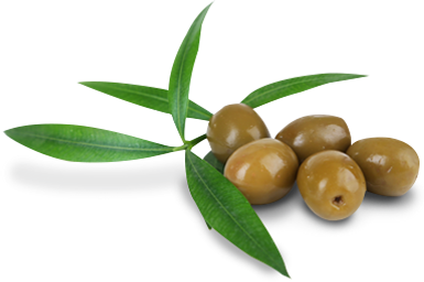 olives.png