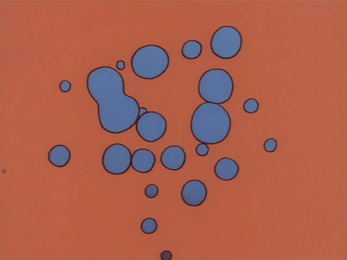 flowers gif.gif