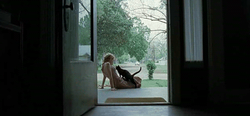 lady and cat.gif