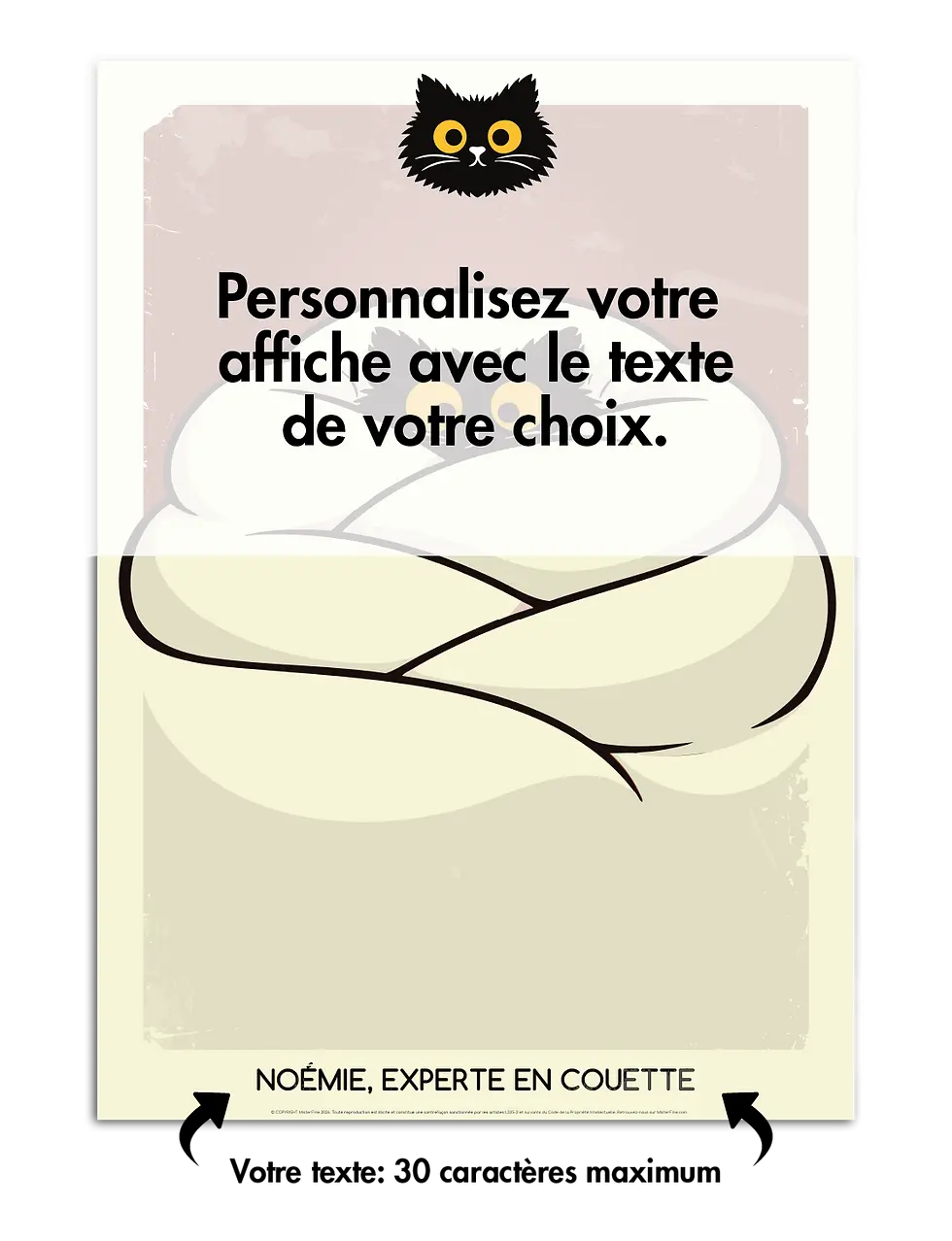 Miniature : affiche chat chill encadrée humour – idée cadeau original Misterfine bonne humeur