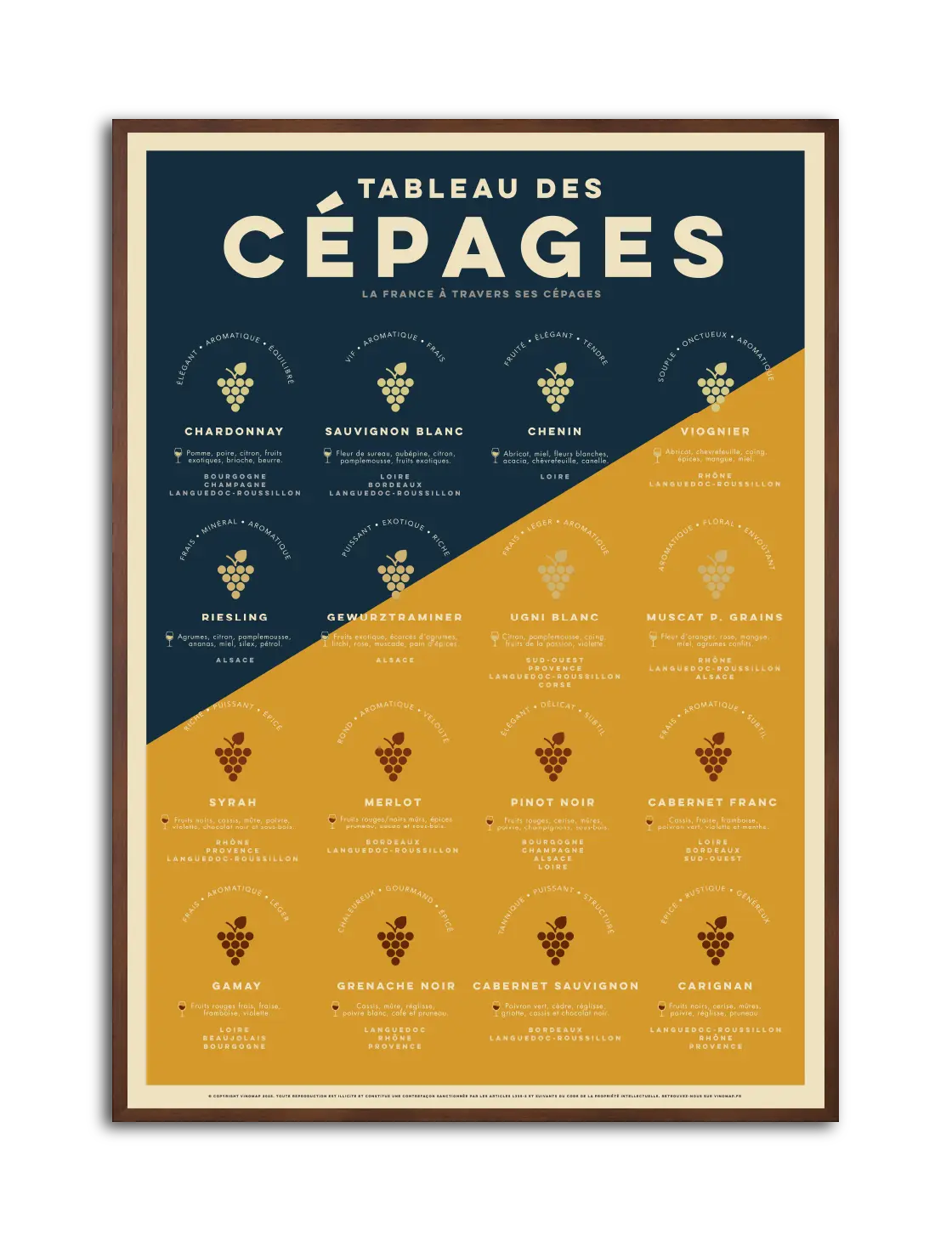 affiche arômes du vin