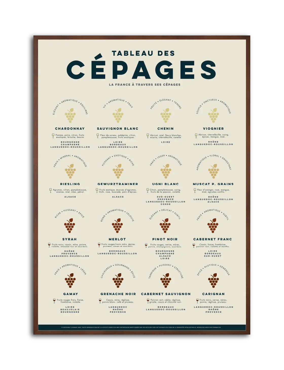 affiche arômes cépages