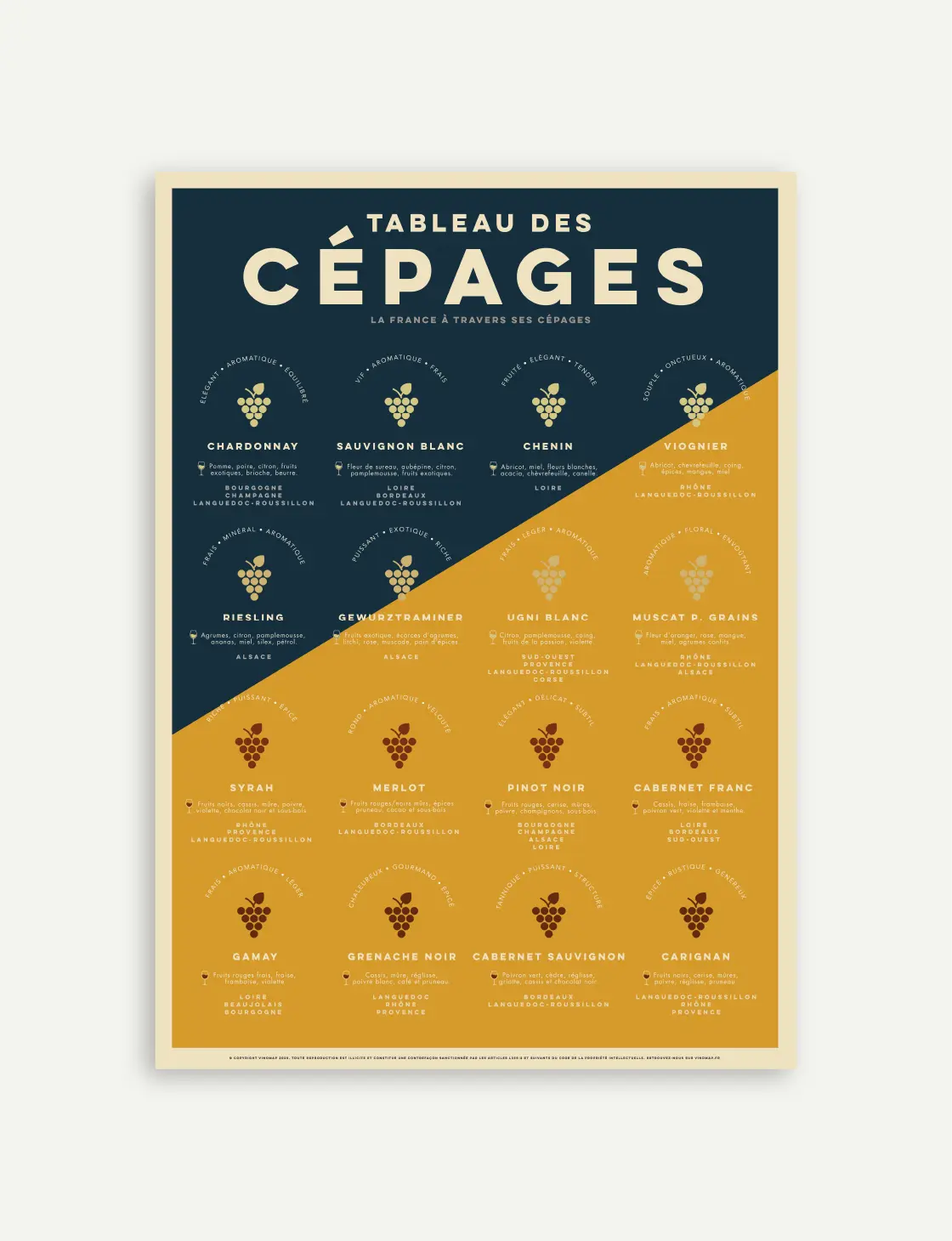 affiche arômes du vin poster mural