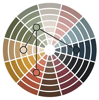 accord-couleur-vert-sauge-roue-chromatique-decoration-interieure.webp