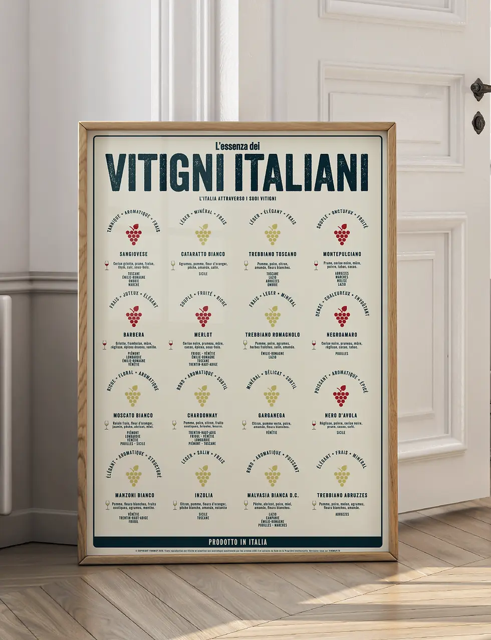 Poster cépages italiens et œnologie
