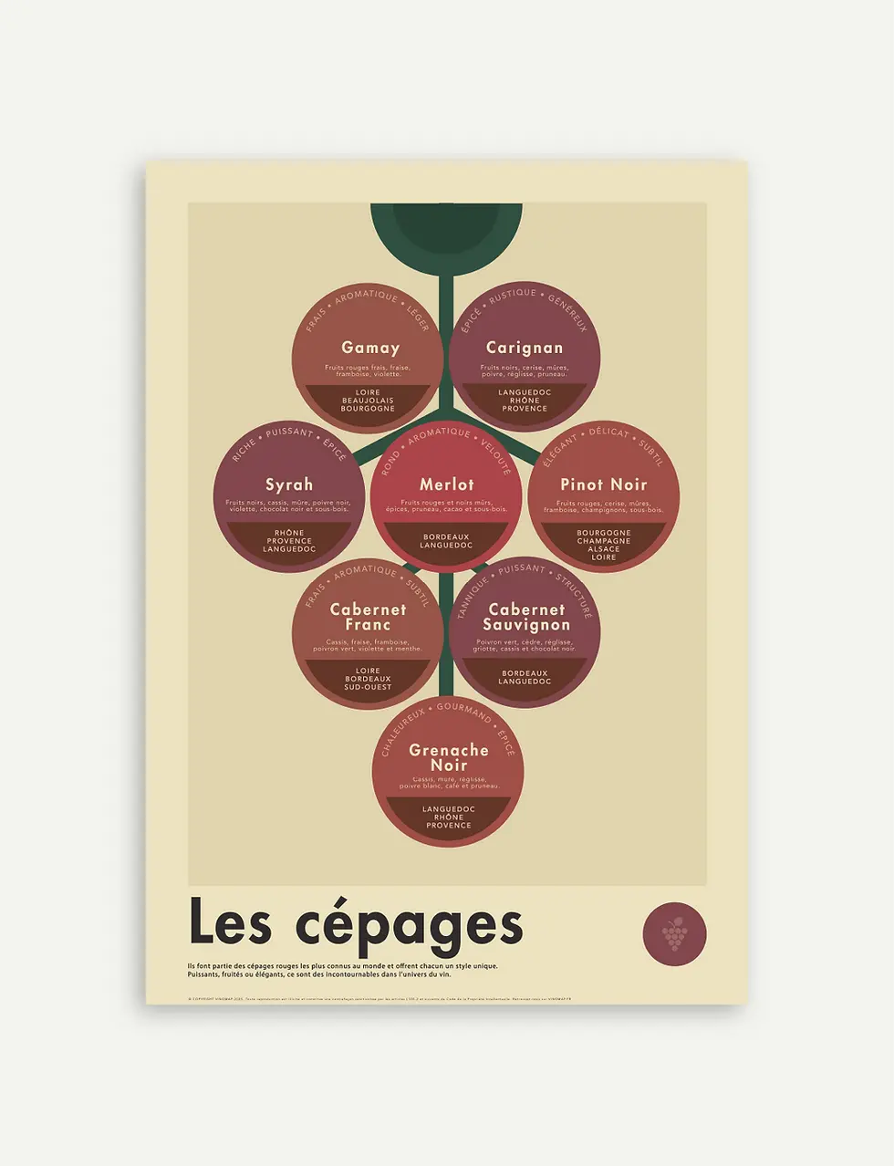 affiche pédagogique des cépages rouges