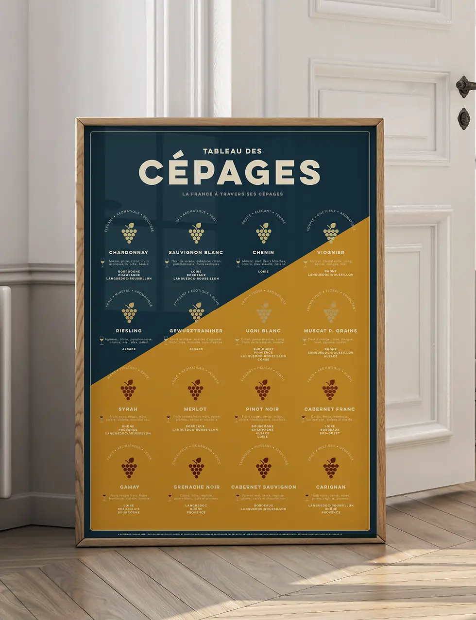Miniature : Affiche œnologie décorative jaune présentant les cépages du vin et les principales régions viticoles