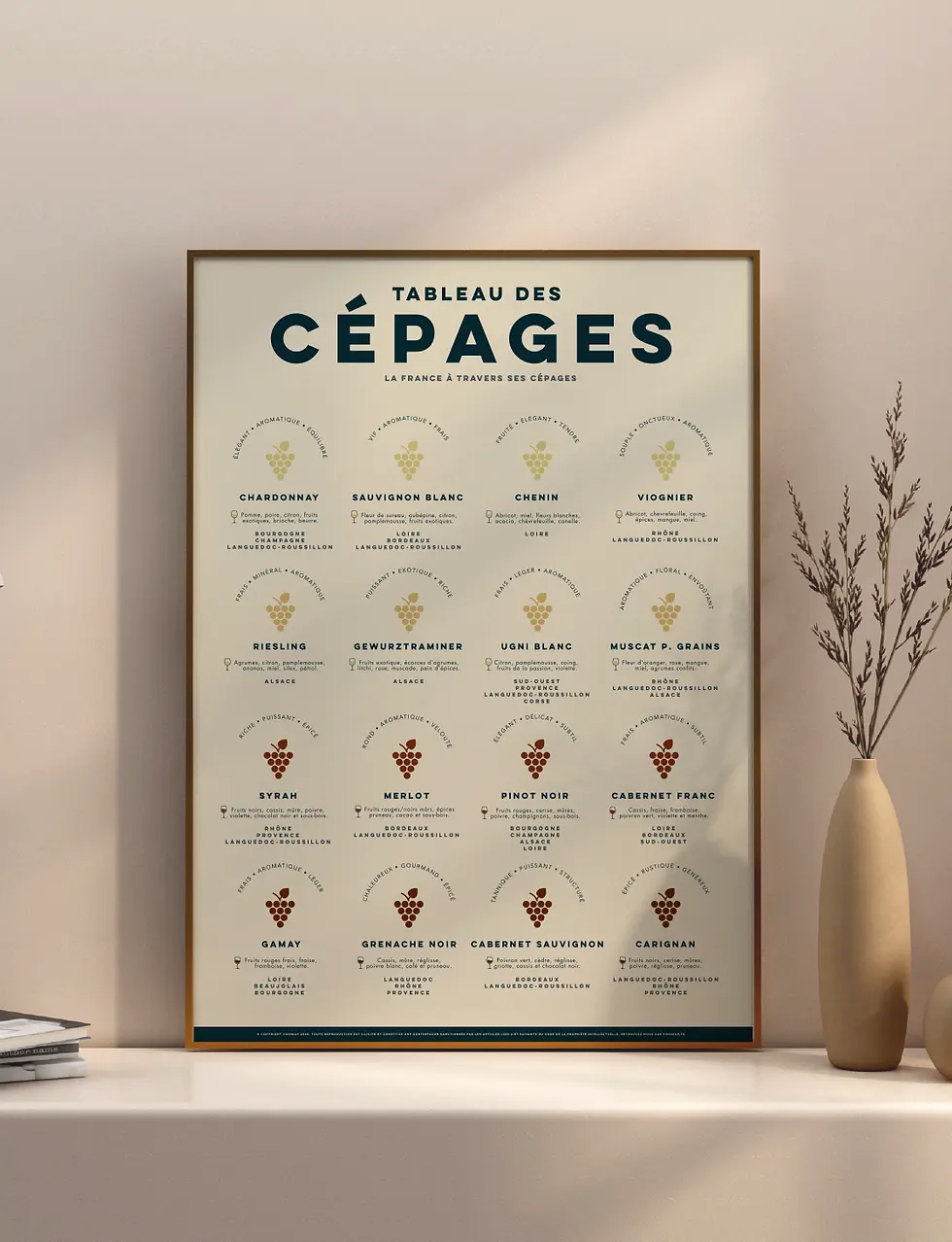 poster arômes des cépages français