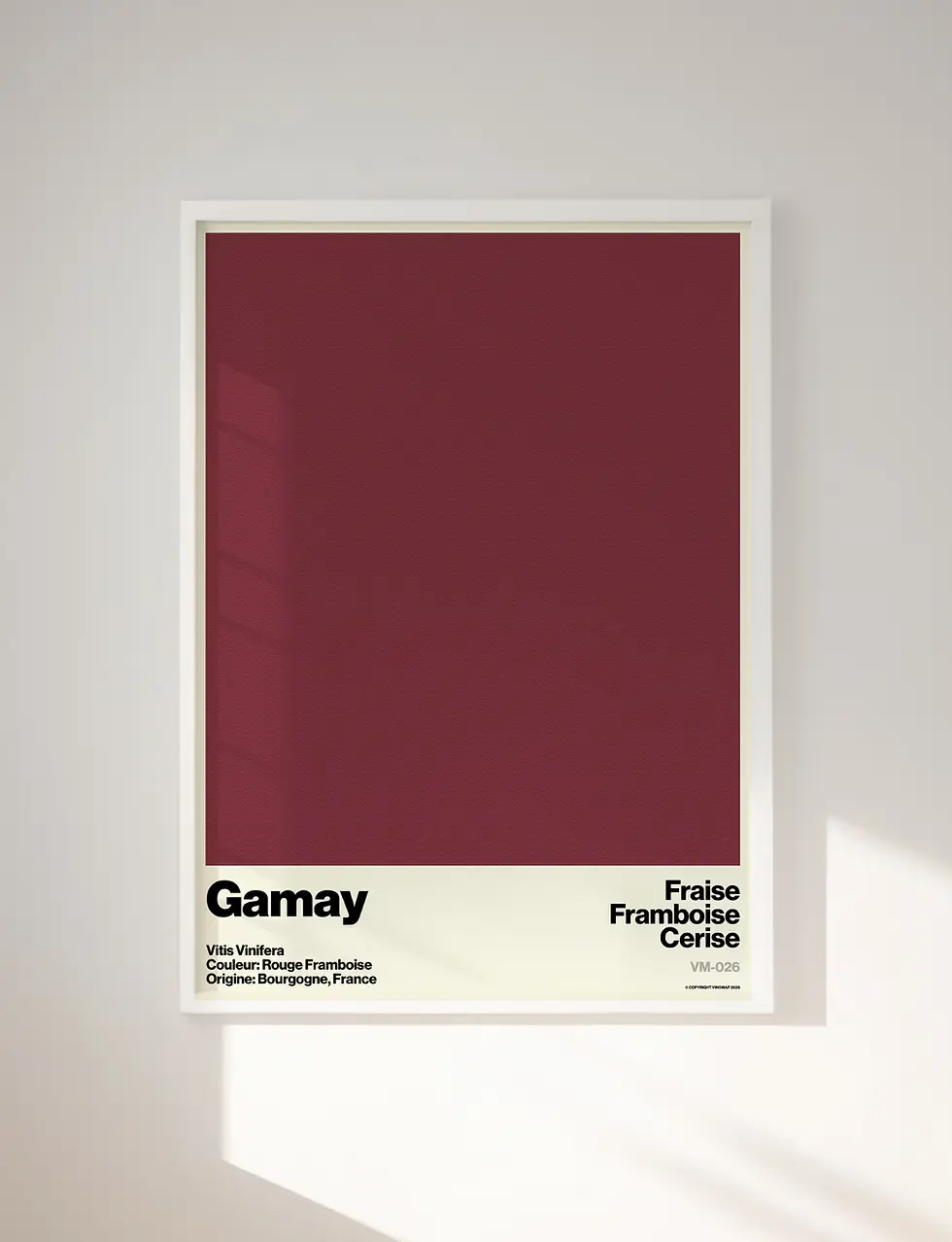 Affiche du cépage Gamay avec ses arômes, son origine et sa couleur