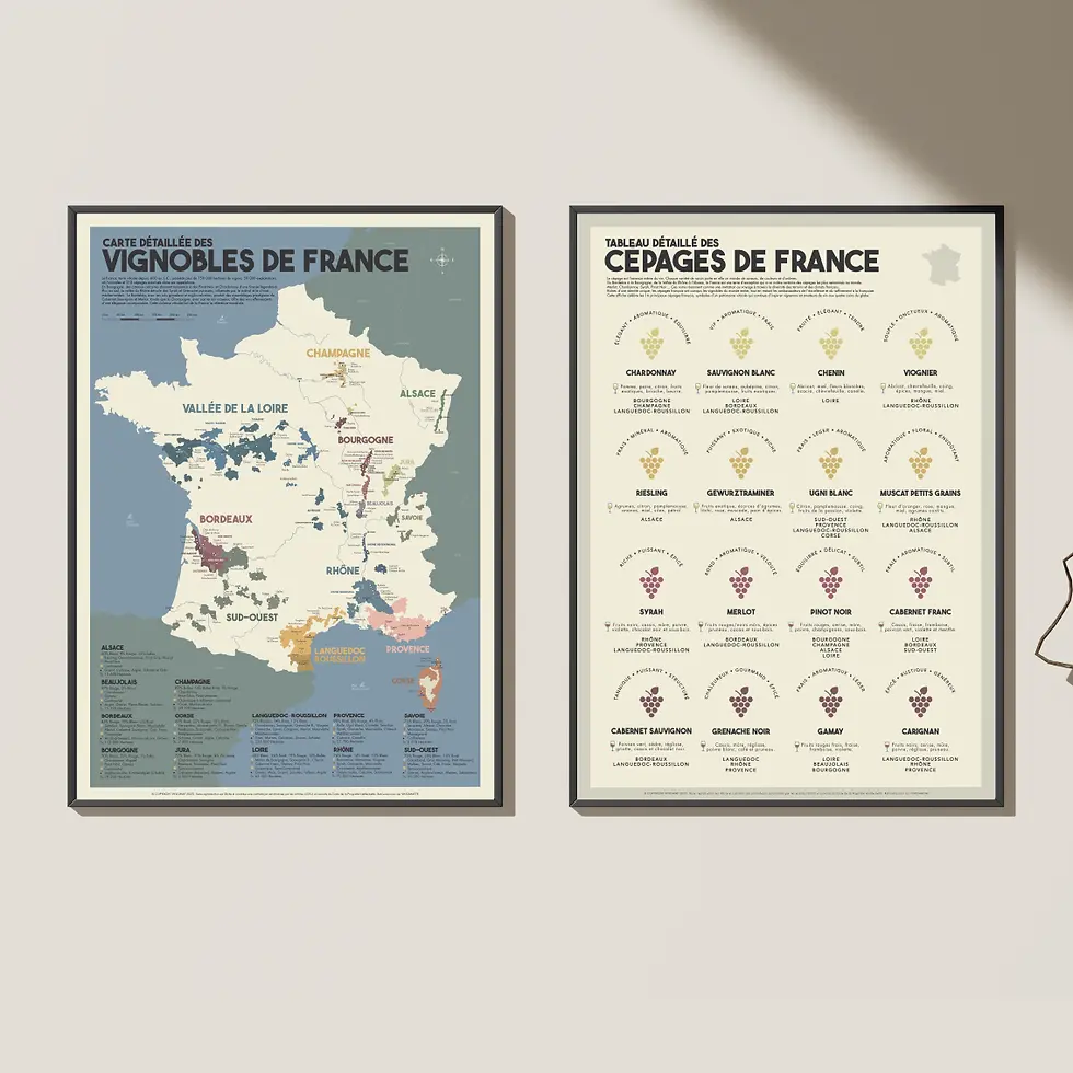 pack affiches sommelier, carte des vins france et cépages