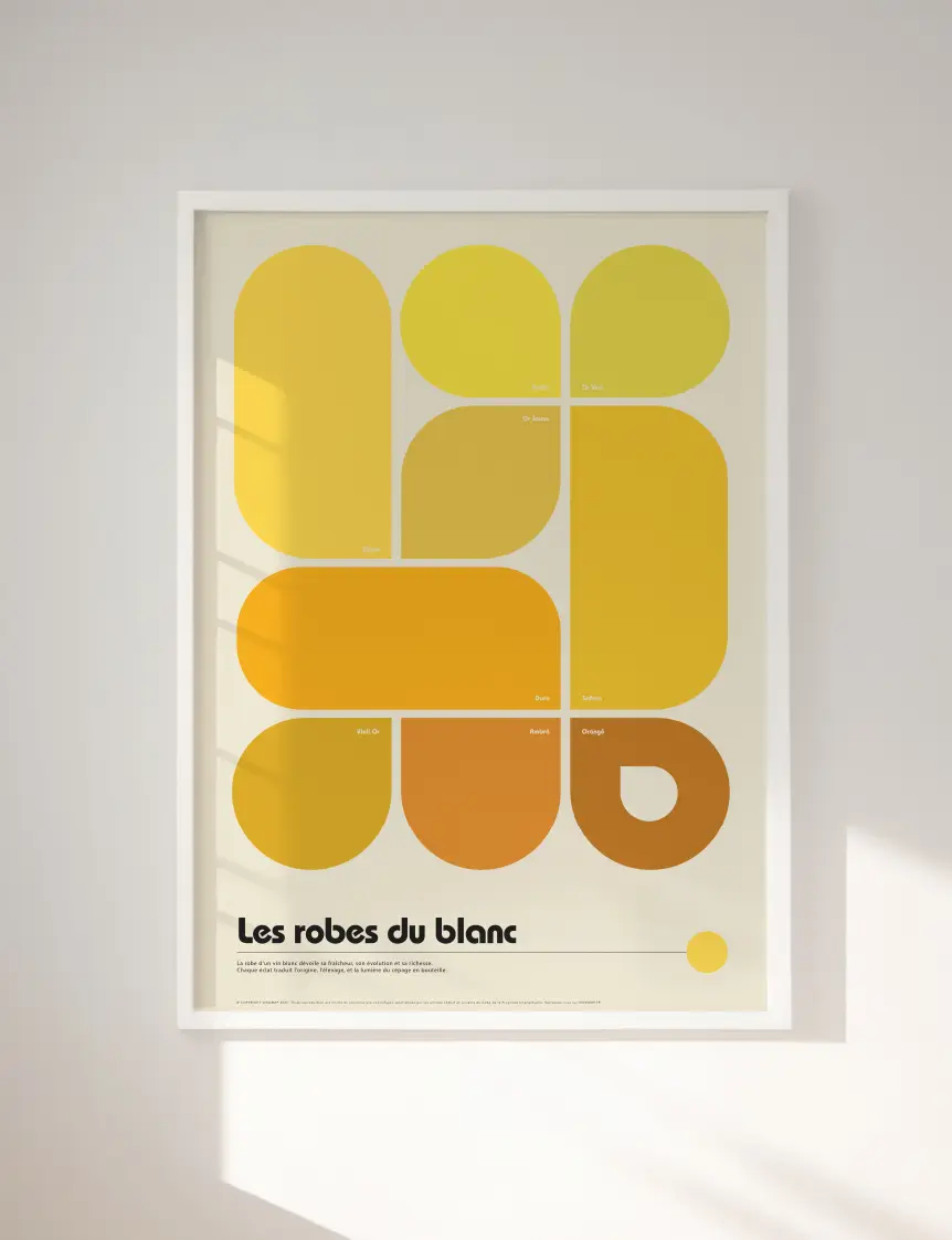 poster pédagogique robes des vins blancs, cadre banc mural