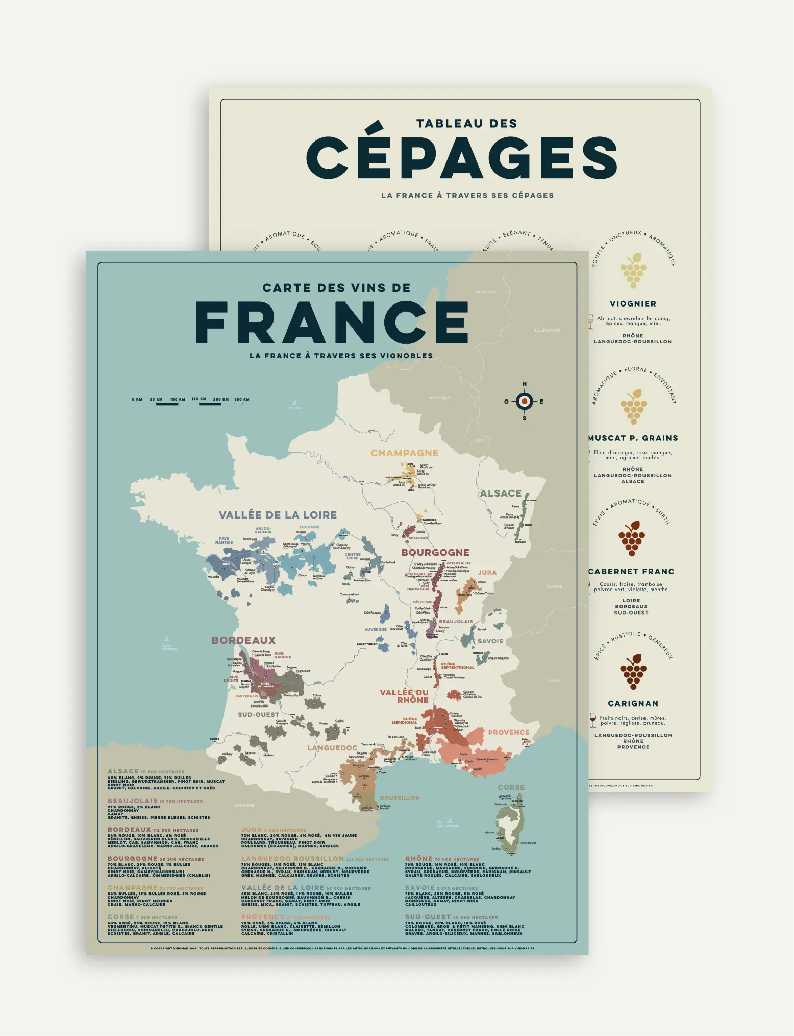 Pack Affiches Sommelier « Vignobles de France » – Carte des Vins & Cépages