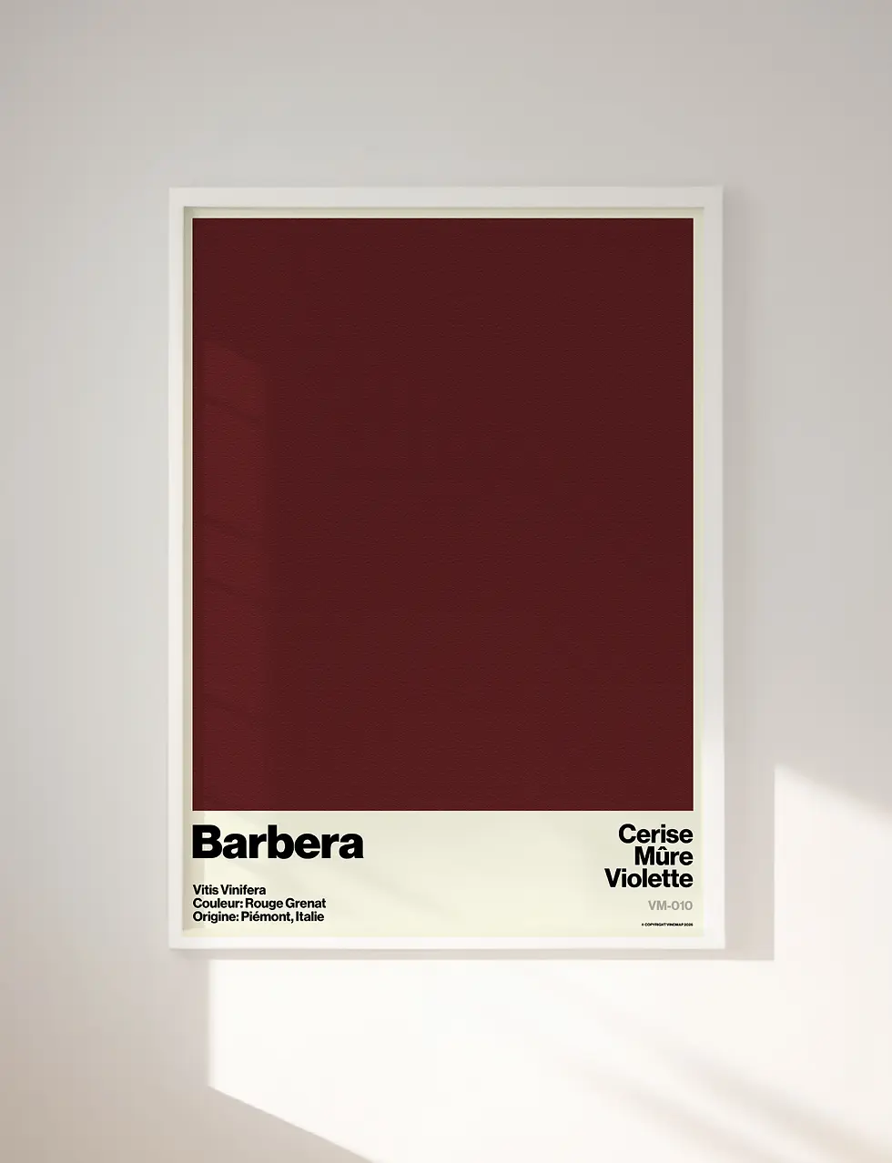 Affiche du cépage Barbera avec ses arômes, son origine et sa couleur