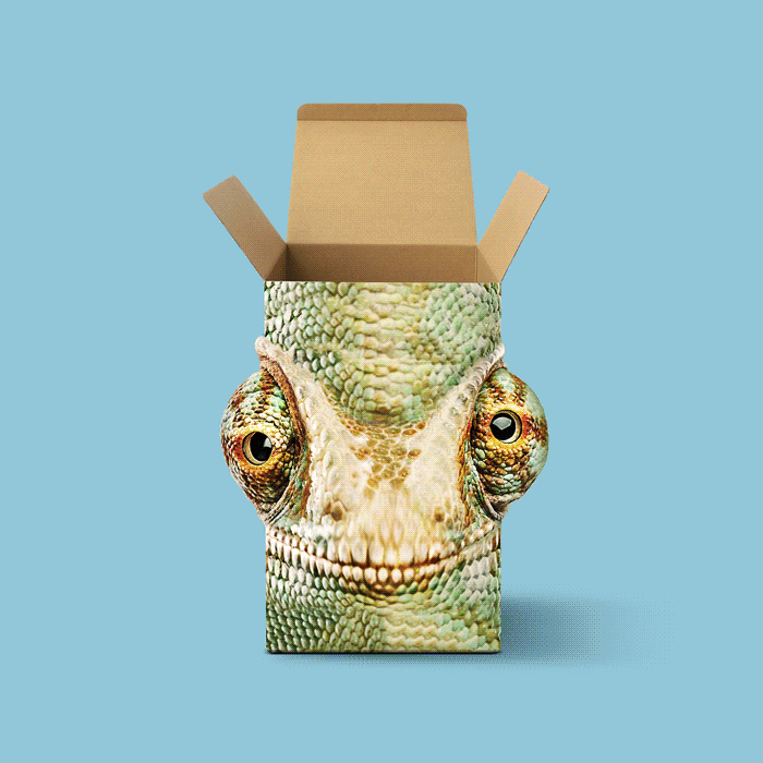 packaging-cajaleon-ayb.gif