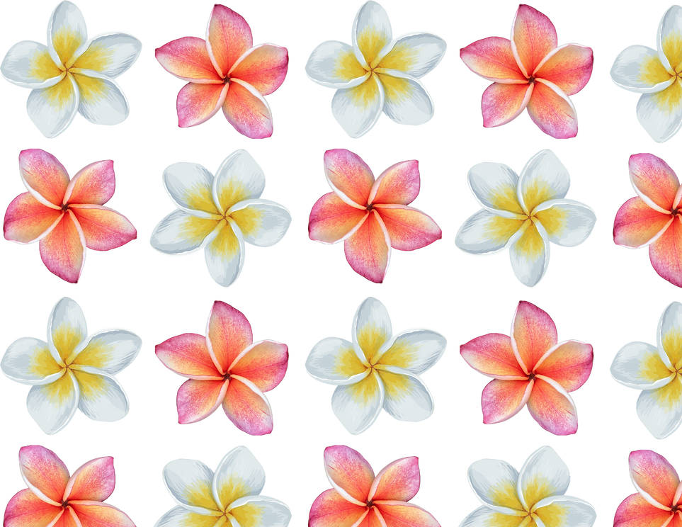 Untitled design (17).png