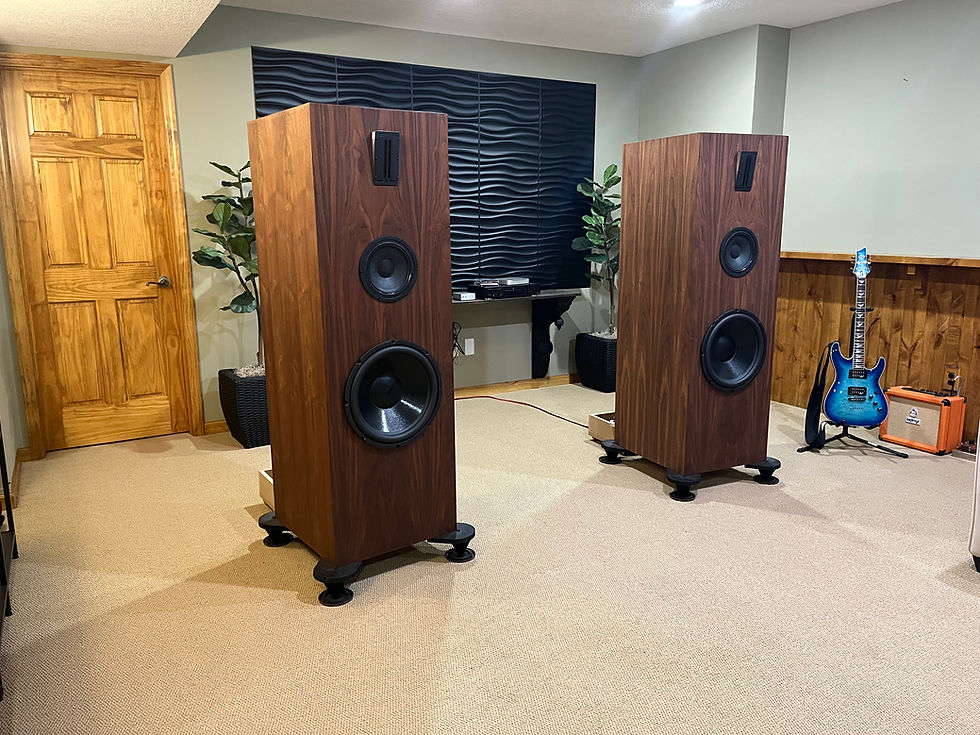 Custom audio solution for home entreatment system