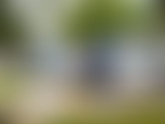 Why You Should Hire a Professional for Your Pressure Washing Needs