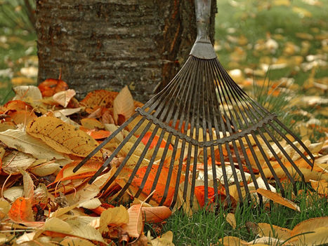 Willkommen, bunter Herbst!