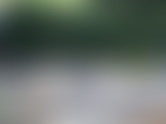 Gartenlifting nach Unwetter